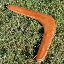 Boomerang laying in the grass